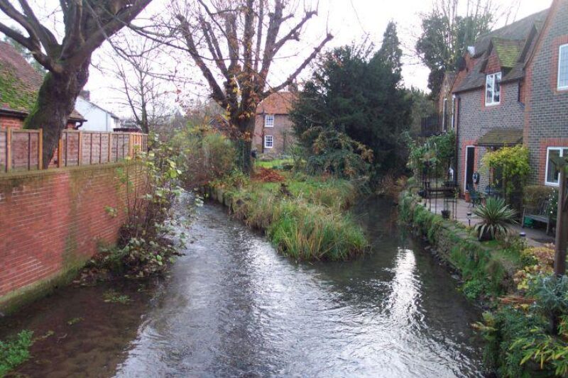 Olivia has called called on Thames Water to take action to clean up the River Pang.